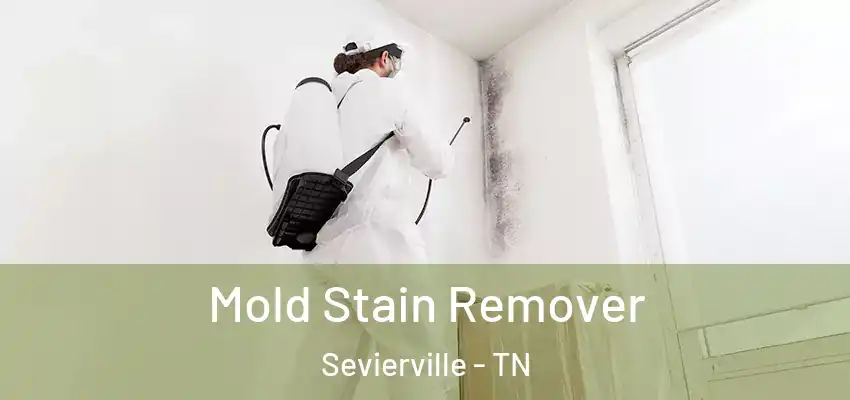  Mold Stain Remover Sevierville - TN