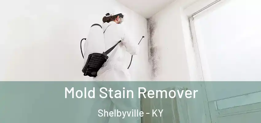 Mold Stain Remover Shelbyville - KY