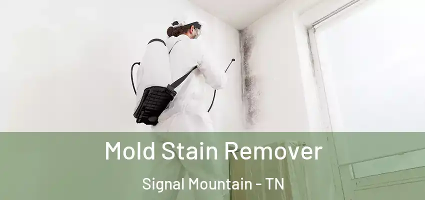 Mold Stain Remover Signal Mountain - TN