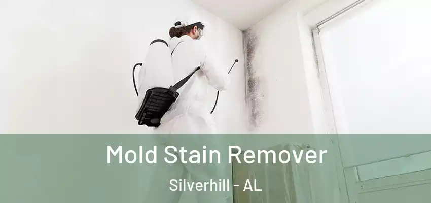  Mold Stain Remover Silverhill - AL