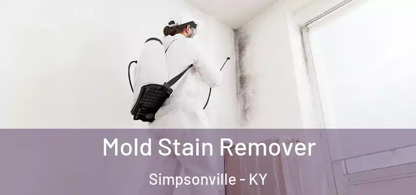 Mold Stain Remover Simpsonville - KY