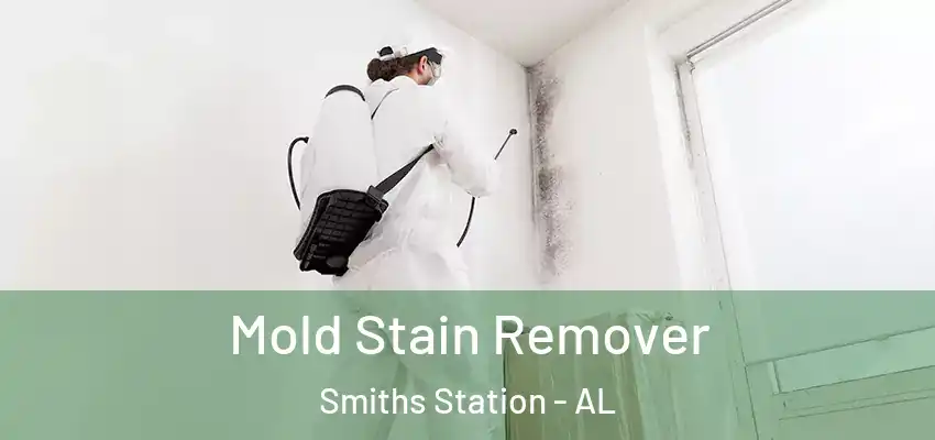  Mold Stain Remover Smiths Station - AL