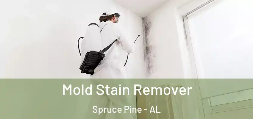 Mold Stain Remover Spruce Pine - AL