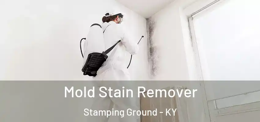 Mold Stain Remover Stamping Ground - KY