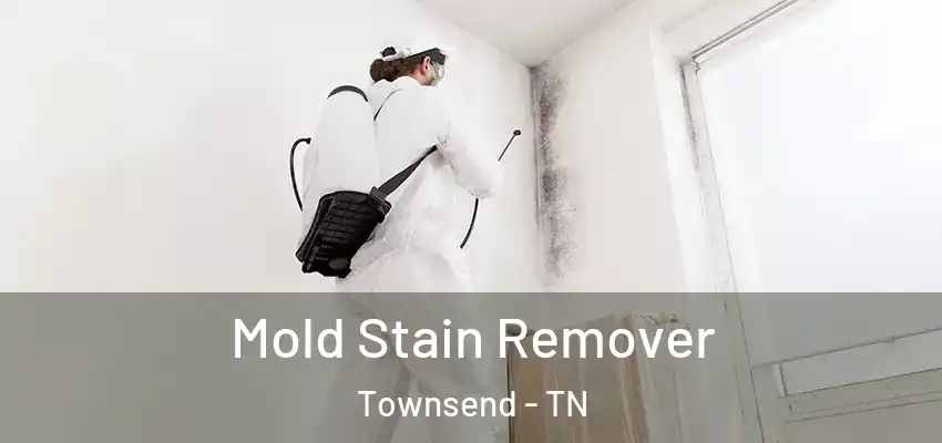 Mold Stain Remover Townsend - TN