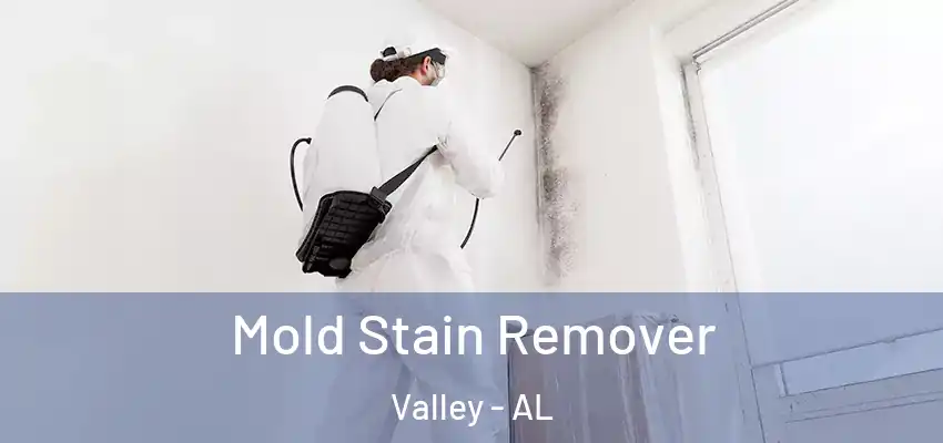  Mold Stain Remover Valley - AL