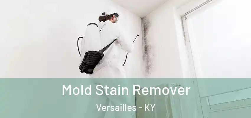  Mold Stain Remover Versailles - KY