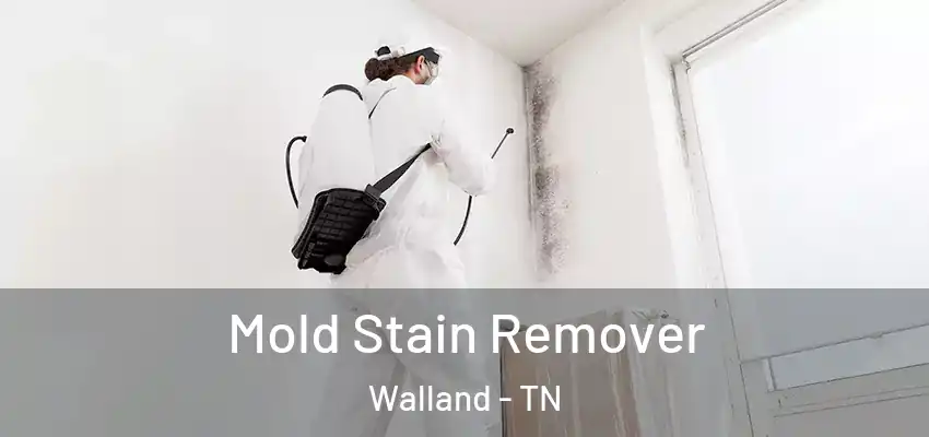  Mold Stain Remover Walland - TN