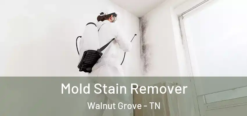  Mold Stain Remover Walnut Grove - TN