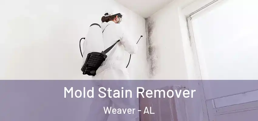 Mold Stain Remover Weaver - AL