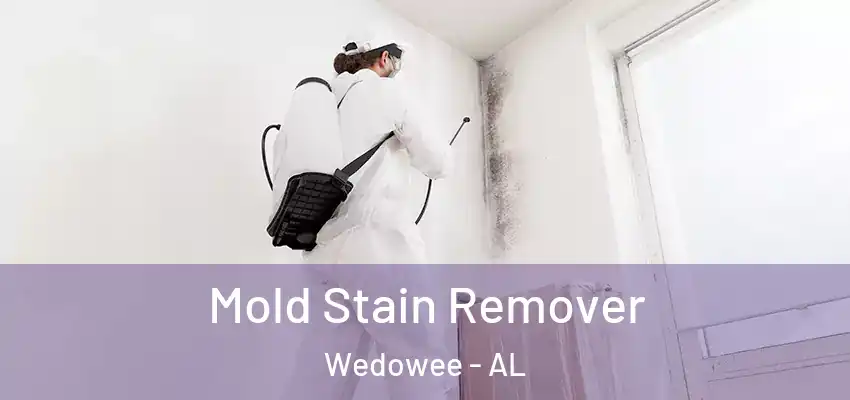  Mold Stain Remover Wedowee - AL