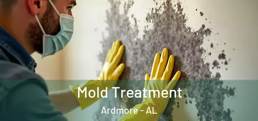  Mold Treatment Ardmore - AL