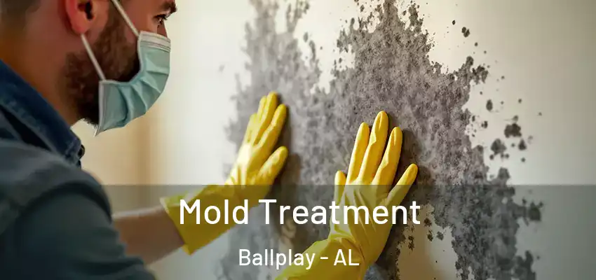  Mold Treatment Ballplay - AL