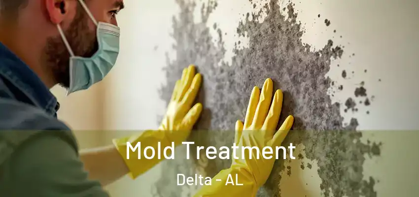 Mold Treatment Delta - AL