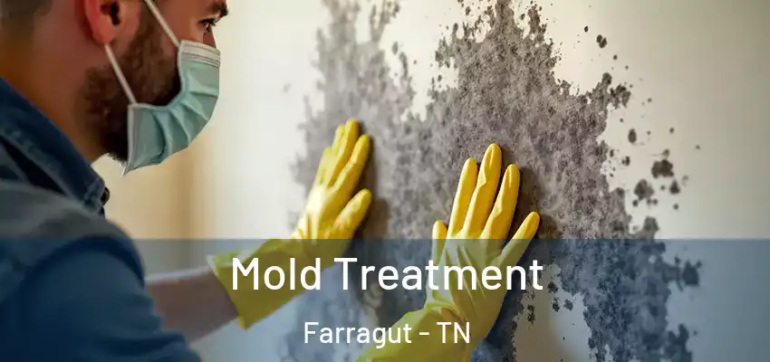  Mold Treatment Farragut - TN