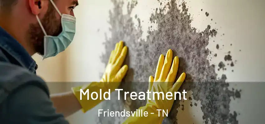  Mold Treatment Friendsville - TN
