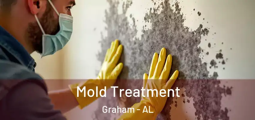  Mold Treatment Graham - AL