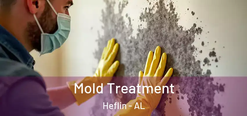 Mold Treatment Heflin - AL