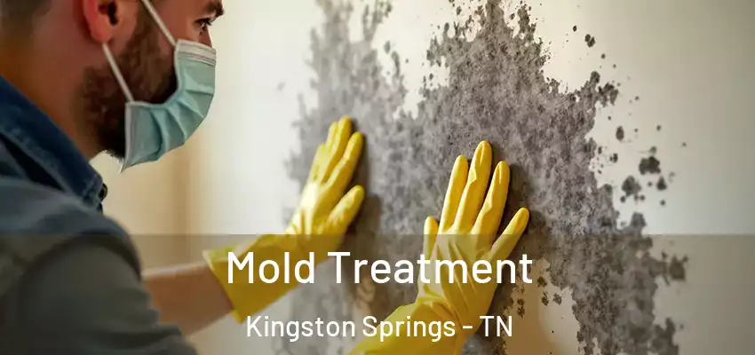  Mold Treatment Kingston Springs - TN