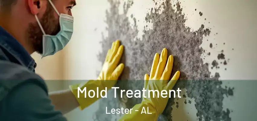 Mold Treatment Lester - AL