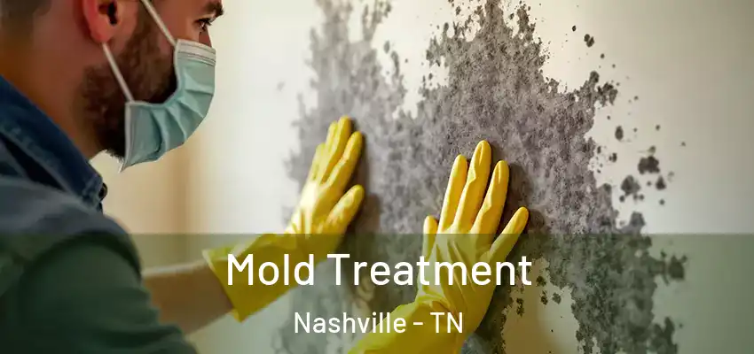 Mold Treatment Nashville - TN
