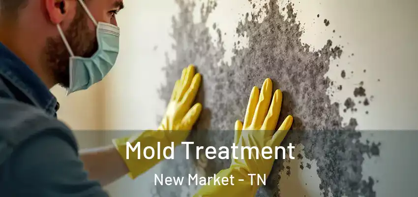  Mold Treatment New Market - TN