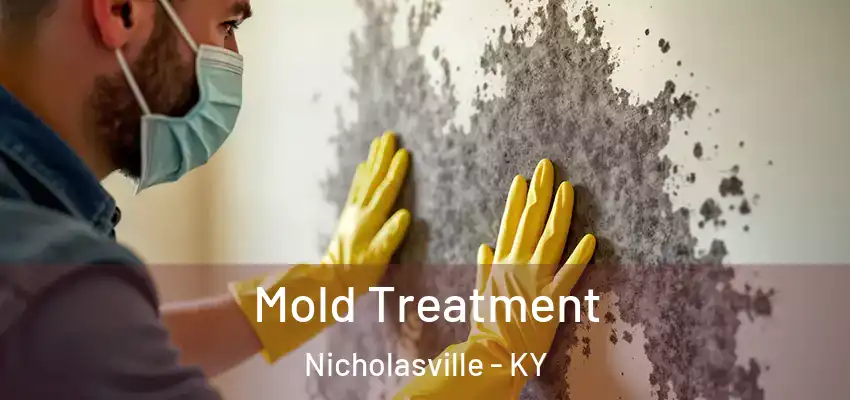 Mold Treatment Nicholasville - KY