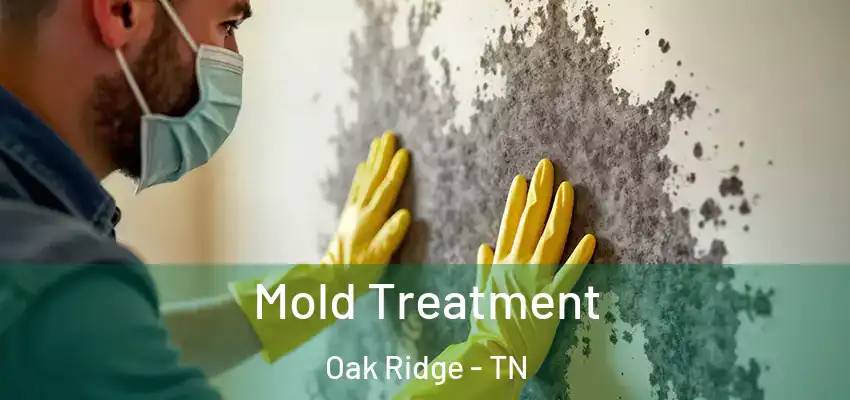  Mold Treatment Oak Ridge - TN