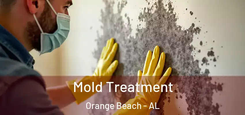  Mold Treatment Orange Beach - AL