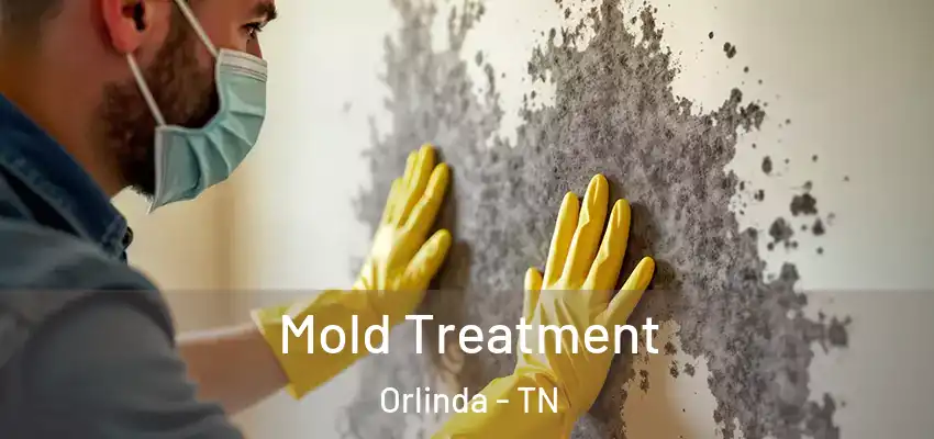  Mold Treatment Orlinda - TN