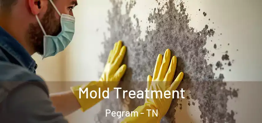  Mold Treatment Pegram - TN