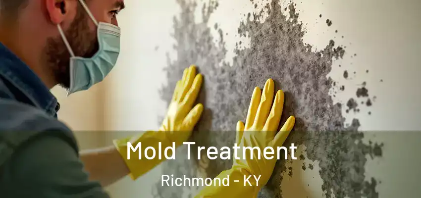  Mold Treatment Richmond - KY