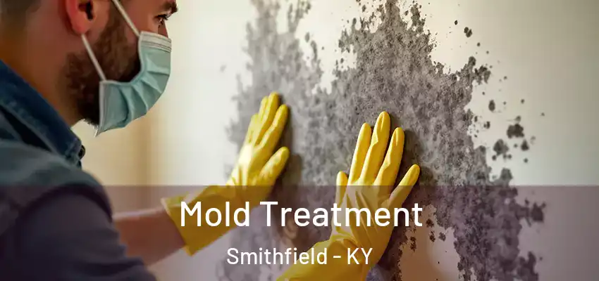  Mold Treatment Smithfield - KY