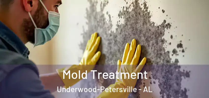 Mold Treatment Underwood-Petersville - AL