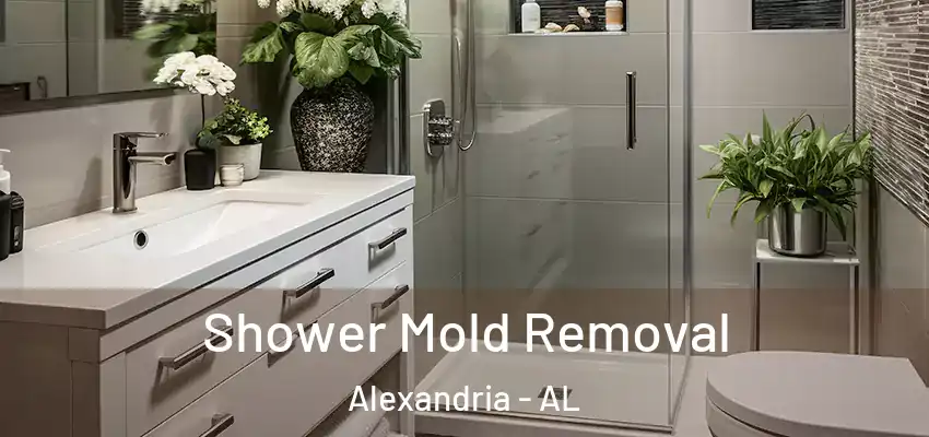 Shower Mold Removal Alexandria - AL