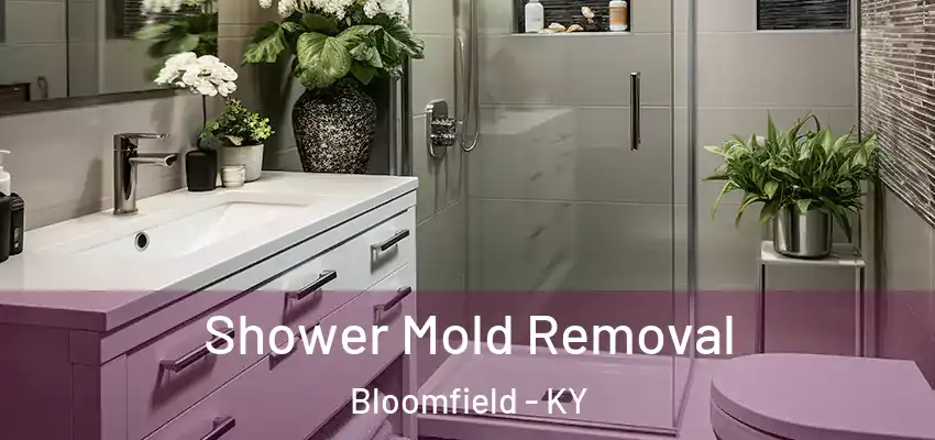  Shower Mold Removal Bloomfield - KY