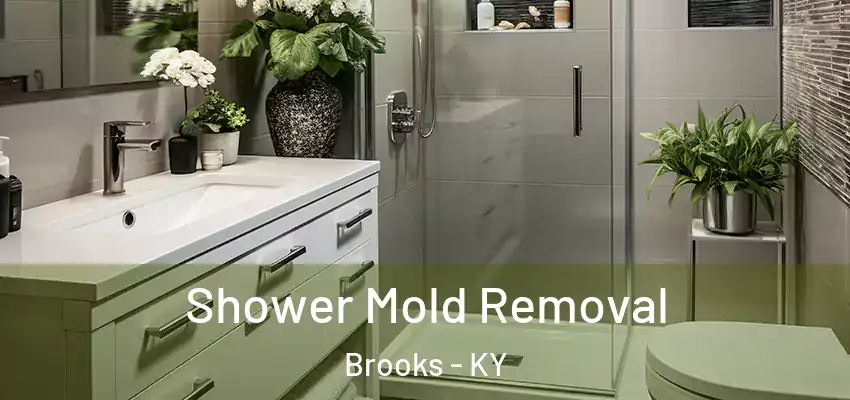  Shower Mold Removal Brooks - KY