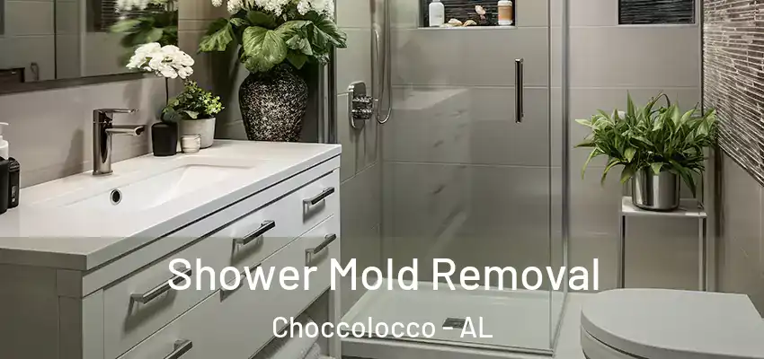  Shower Mold Removal Choccolocco - AL