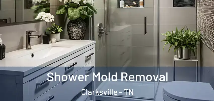 Shower Mold Removal Clarksville - TN
