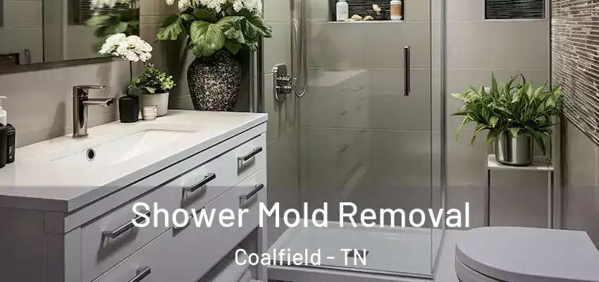  Shower Mold Removal Coalfield - TN
