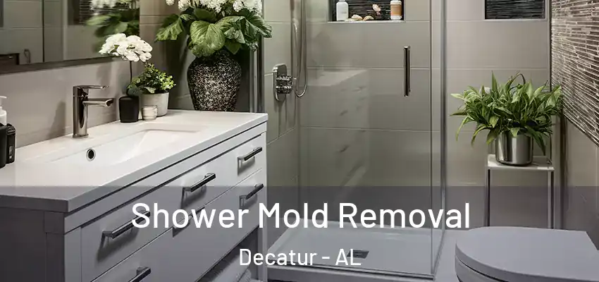  Shower Mold Removal Decatur - AL