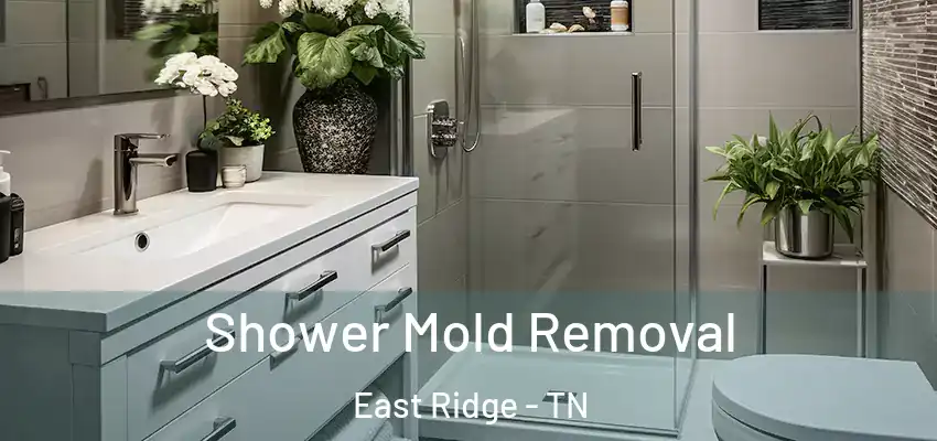 Shower Mold Removal East Ridge - TN
