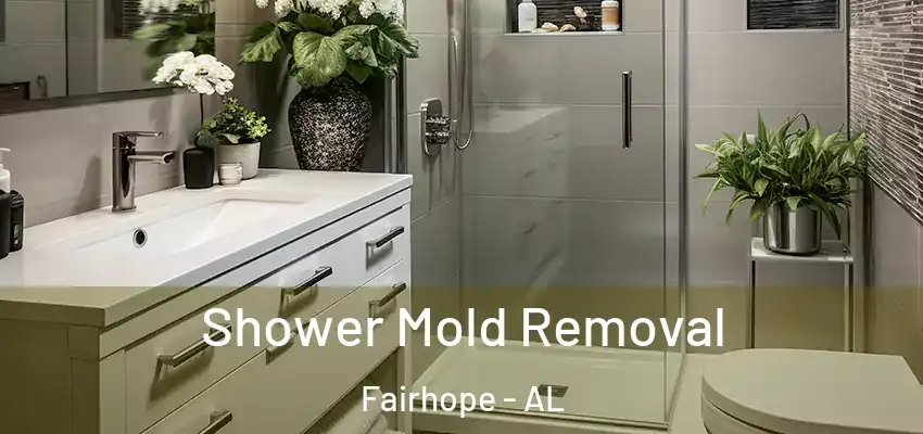 Shower Mold Removal Fairhope - AL