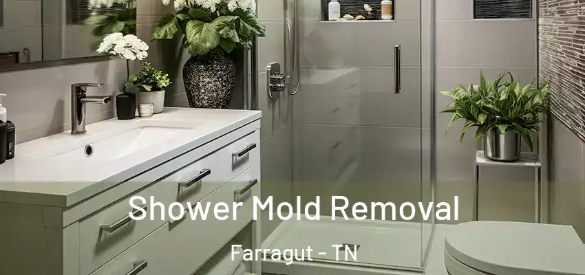  Shower Mold Removal Farragut - TN