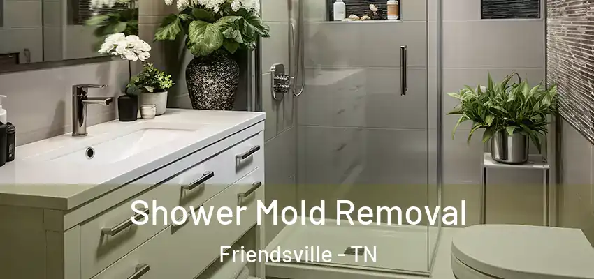 Shower Mold Removal Friendsville - TN