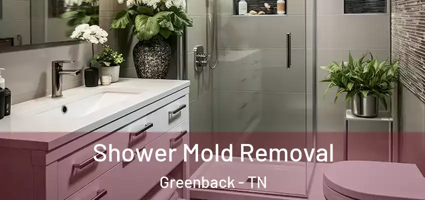 Shower Mold Removal Greenback - TN