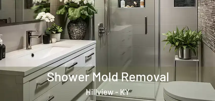  Shower Mold Removal Hillview - KY