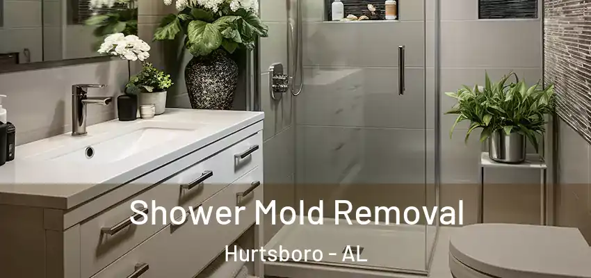 Shower Mold Removal Hurtsboro - AL