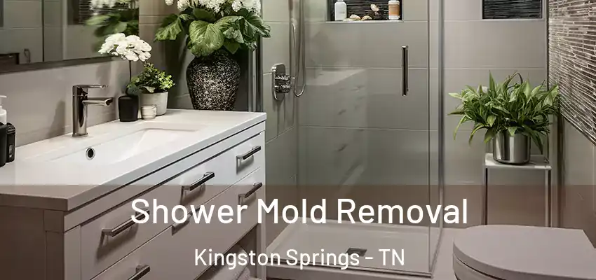  Shower Mold Removal Kingston Springs - TN