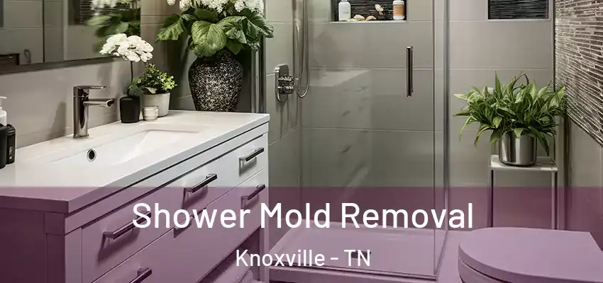 Shower Mold Removal Knoxville - TN